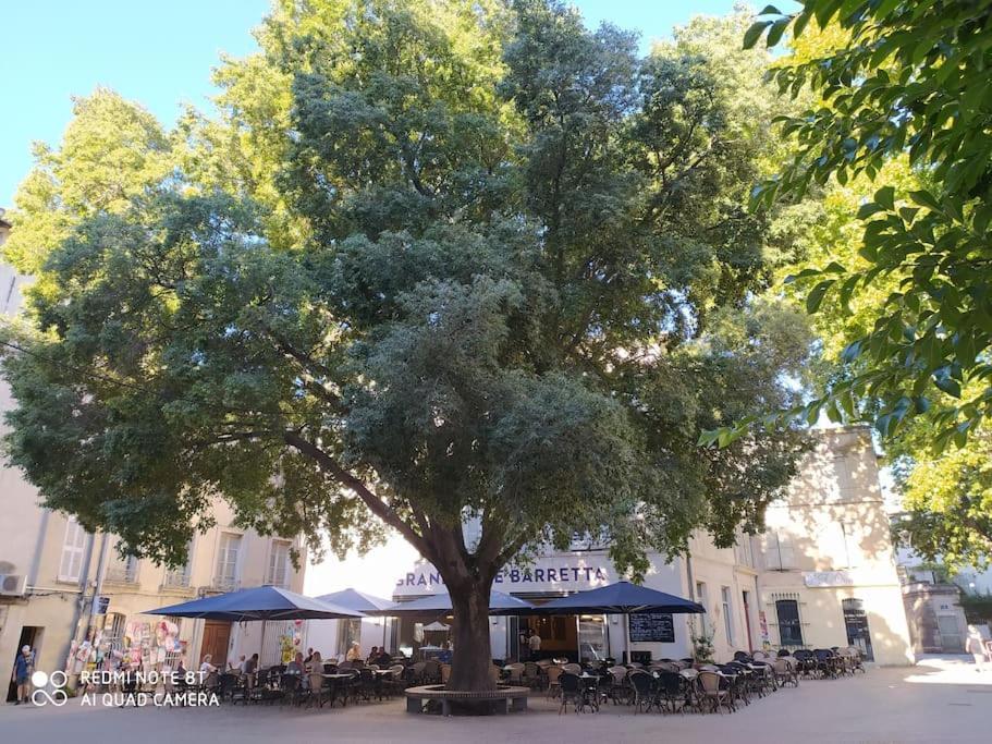 Bel Dans Centre Historique * Avignon